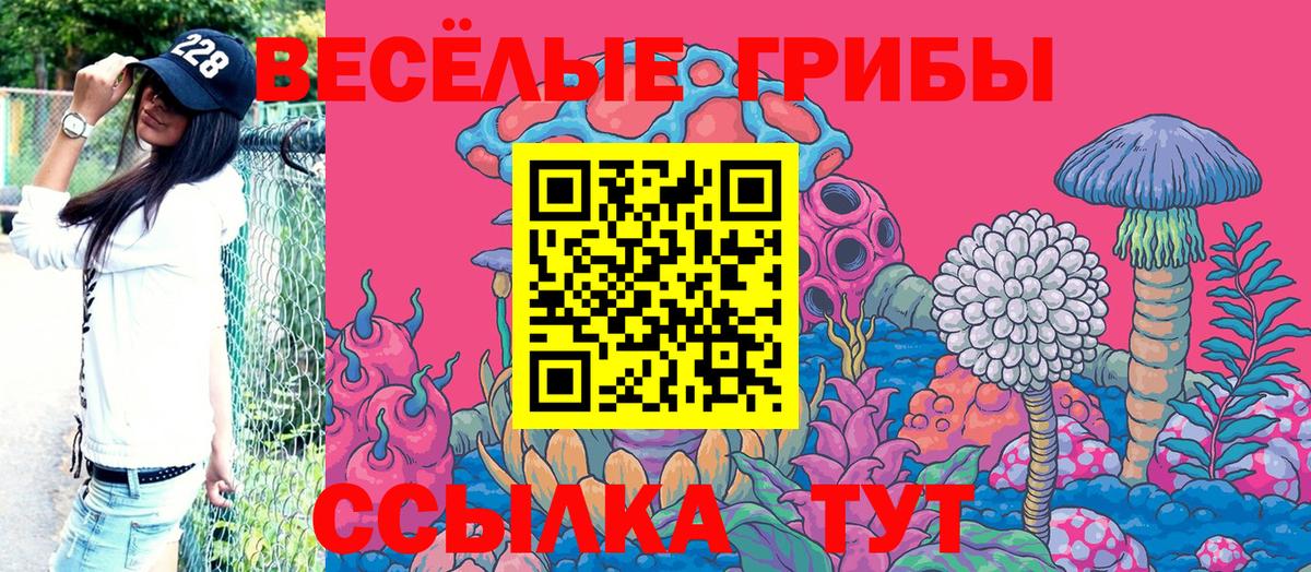 Печора  Галлюциногенные грибы Psilocybe  Галлюциногенные грибы мицелий  купить закладку  Вход с VPN 
